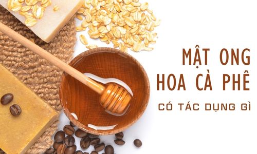 hình ảnh mật ong hoa cà phê, hình ảnh chai mật ong hoa cà phê, ong hút mật hoa cà phê, hình ảnh ong hút mật hoa cà phê, cà phê hoa hồng mật ong, mật ong hoa cà phê tốt không, mật ong hoa cà phê lâm đồng, mật ong hoa cà phê đà lạt, tại sao mật ong hoa cà phê lại rẻ, logo mật ong hoa cà phê, mật ong hoa cà phê miele, mua mật ong hoa cà phê, màu sắc của mật ong hoa cà phê, so sánh mật ong rừng và mật ong hoa cà phê, mật ong hoa cafe là gì, mùa mật ong hoa cà phê,