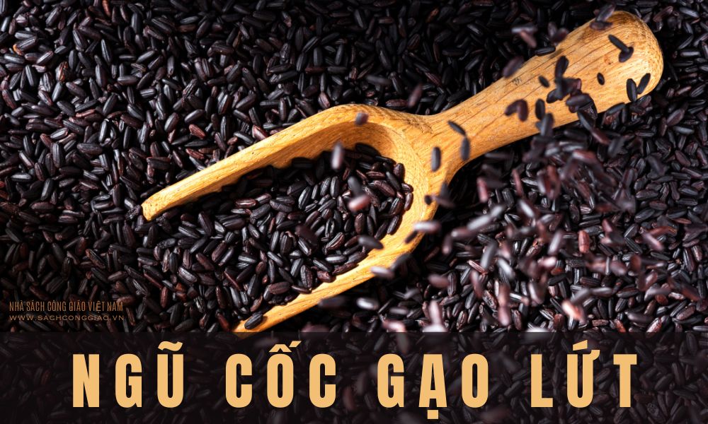 ngũ cốc gạo lứt giảm cân, cách làm ngũ cốc gạo lứt giảm cân, ngũ cốc gạo lứt huyết rồng giảm cân, ngũ cốc gạo lứt yến mạch giảm cân, ngũ cốc gạo lứt hạt sen, ngũ cốc gạo lứt lợi sữa,